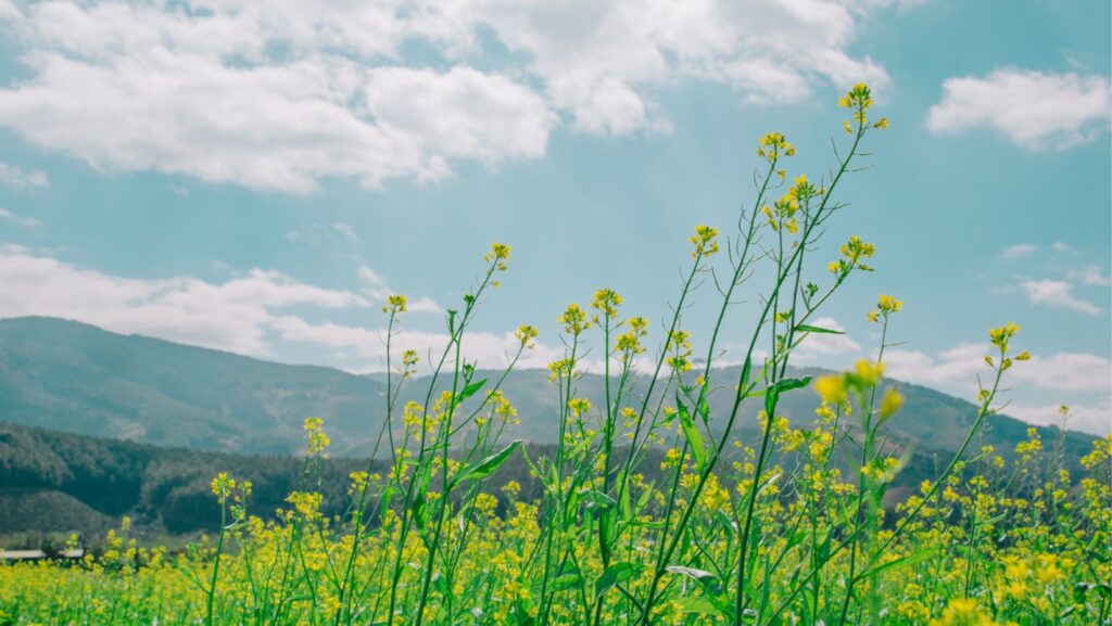 The Incredible Nature Show: Where Magic and healing connect!